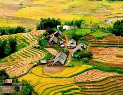 Lao Chai - Ta Van Village - Muong Hoa Valley Muslim Tour 1 day
