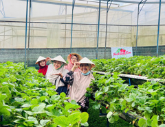 Nha Trang  DaLat  Muslim Tour 5 Days/ 4 Nights