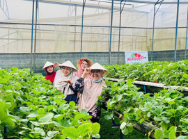 Nha Trang  DaLat  Muslim Tour 5 Days/ 4 Nights