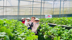 Nha Trang  DaLat  Muslim Tour 5 Days/ 4 Nights