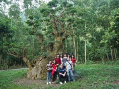 Muslim Travel Vietnam's team at Ninh binh
